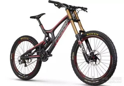 三鄉(xiāng)有人撞上一輛價(jià)值估計(jì)近兩萬(wàn)元的 天價(jià) 自行車(chē) 這年頭,自行車(chē)都惹不起