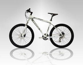 優(yōu)米優(yōu)自行車 高強(qiáng)度液壓成型車架 自行車產(chǎn)品圖